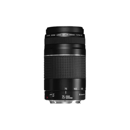 Canon EF 75-300mm f/4-5.6 III Telephoto Zoom Lens
